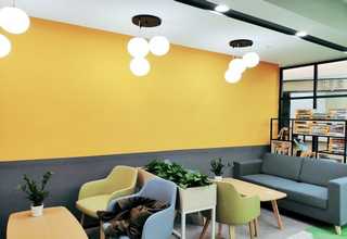 上海卫嘉除菌洗衣液价位