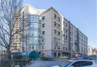 扬中盆栽租赁服务费